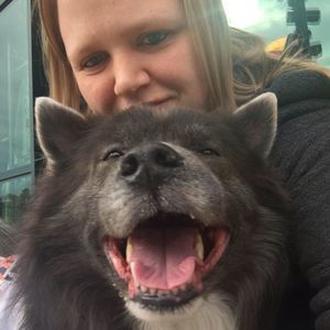 Meet your Posher, Alex